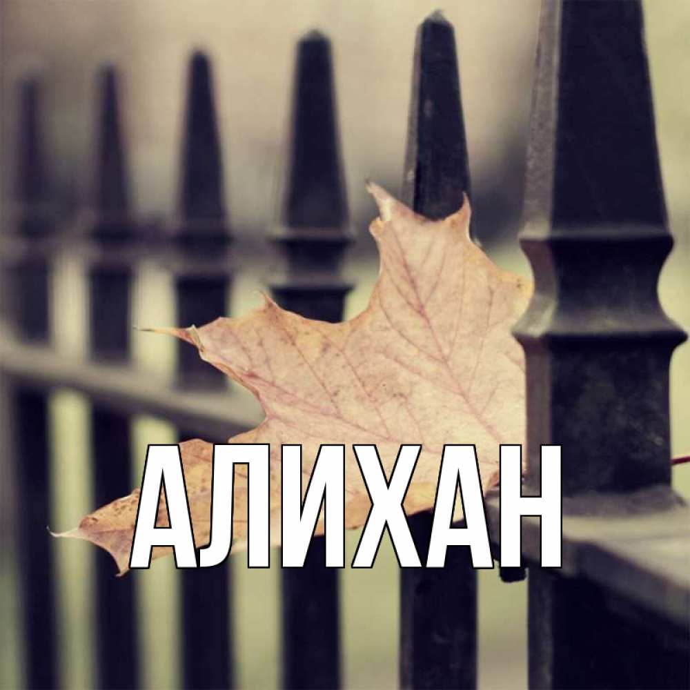 картинки с именем алихан узел