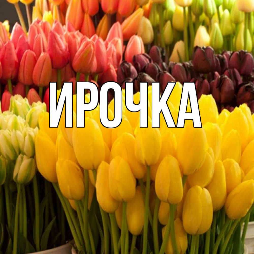 Картинка  с именем , ирочка