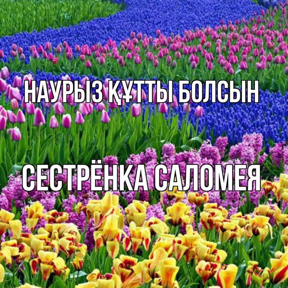 Открытка на каждый день с именем, Сестрёнка-Саломея Наурыз құтты болсын цветы Прикольная открытка с пожеланием онлайн скачать бесплатно 