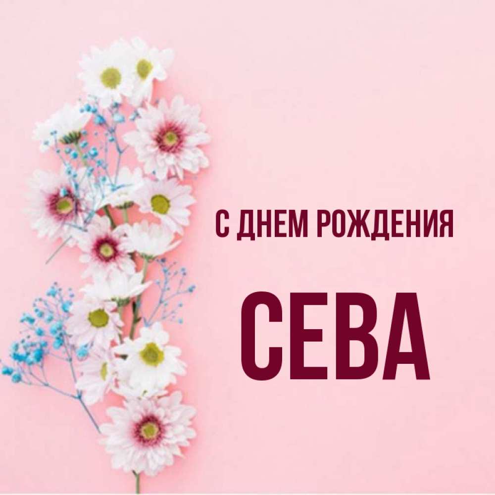 С днем рождения сева картинки