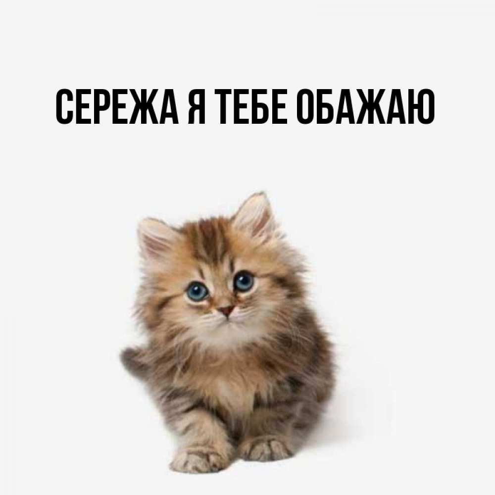 Картинки с именем сережа