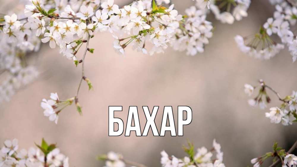 Открытка на каждый день с именем, Бахар Главная С 1 мая Прикольная открытка с пожеланием онлайн скачать бесплатно 