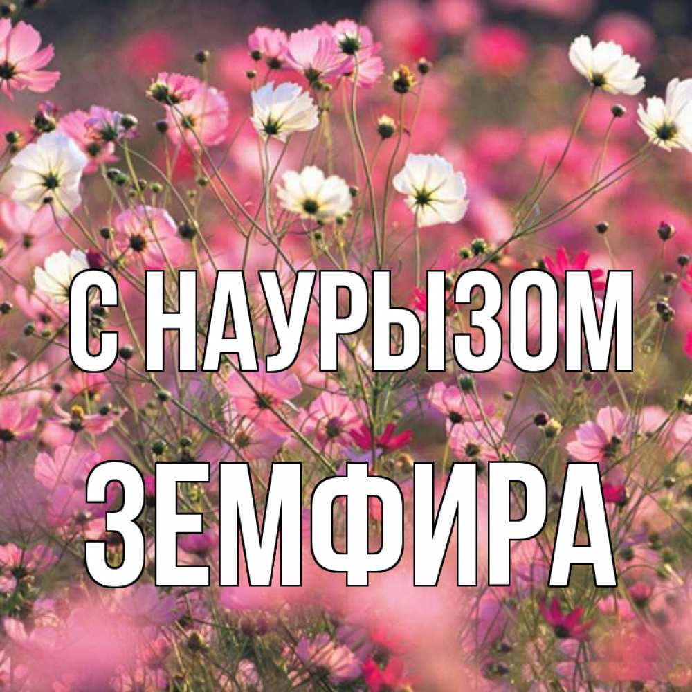 Открытка на каждый день с именем, Земфира С наурызом красиво 1 Прикольная открытка с пожеланием онлайн скачать бесплатно 