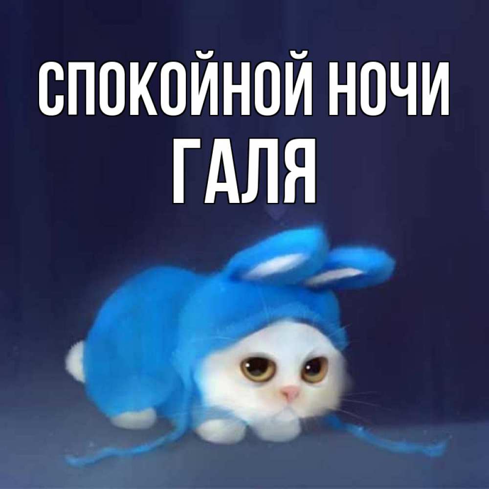 Спокойной ночи галя картинки