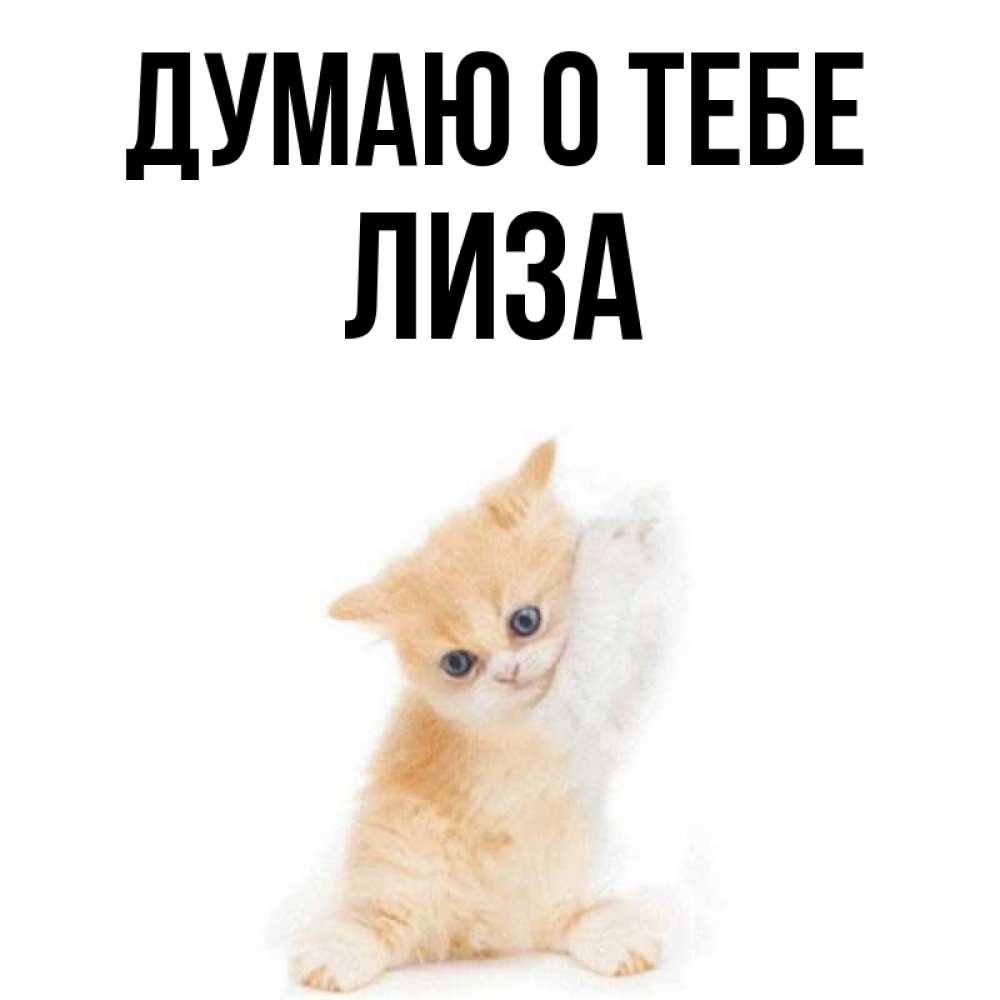 My name is lisa