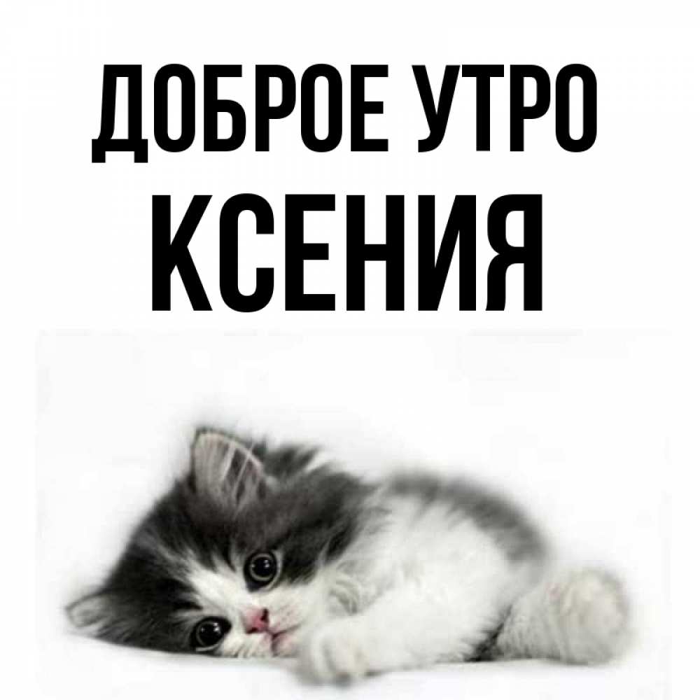 Доброе утро ксюша картинки красивые