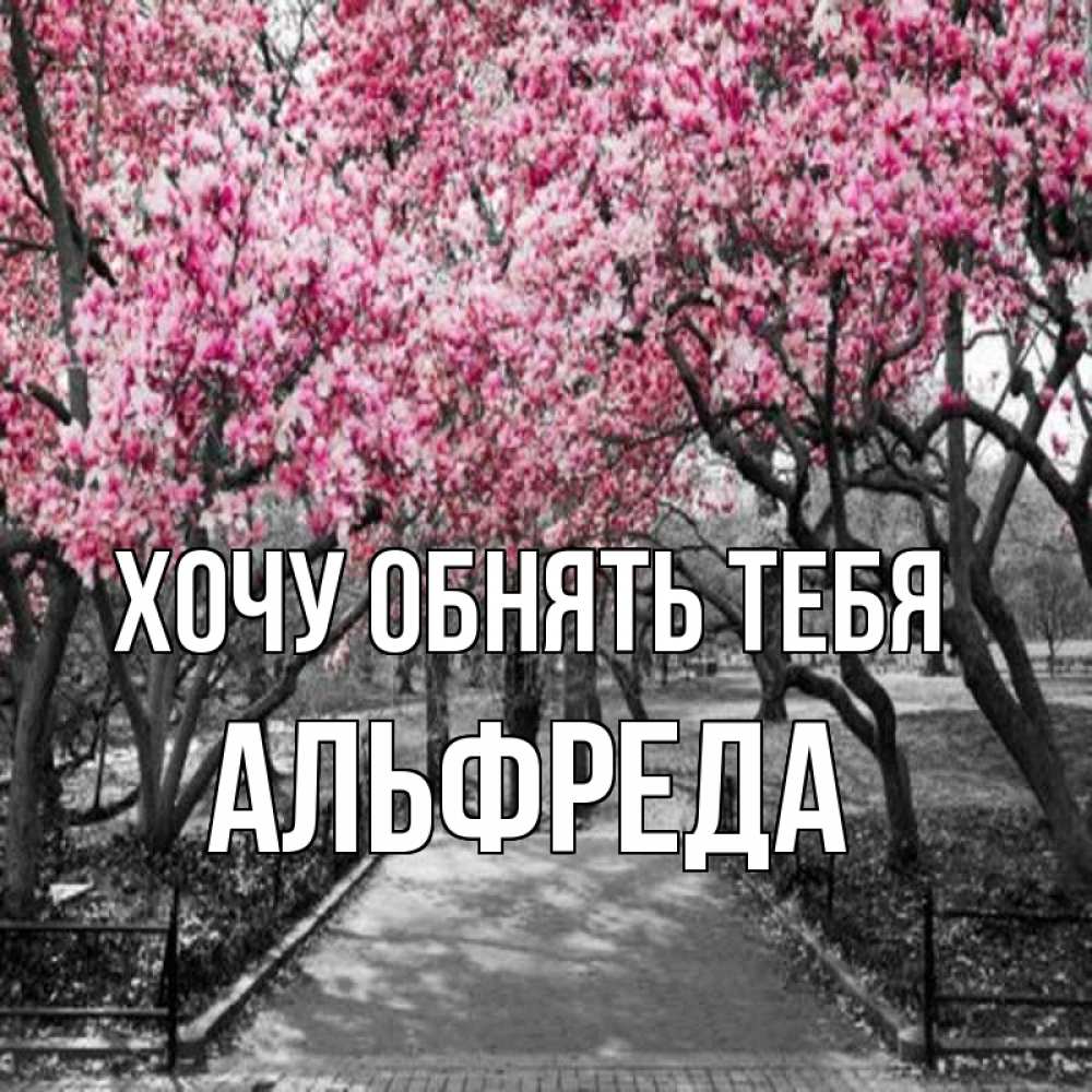 Открытка на каждый день с именем, Альфреда Хочу обнять тебя обработанное фото Прикольная открытка с пожеланием онлайн скачать бесплатно 