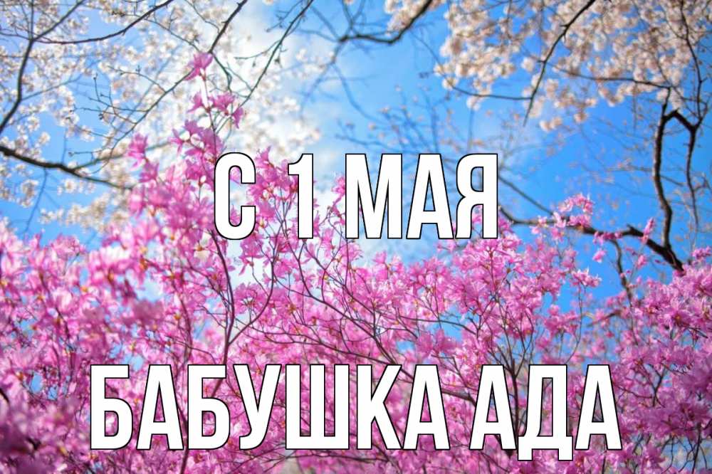 Открытка на каждый день с именем, Бабушка-Ада С 1 мая С 1 мая Прикольная открытка с пожеланием онлайн скачать бесплатно 