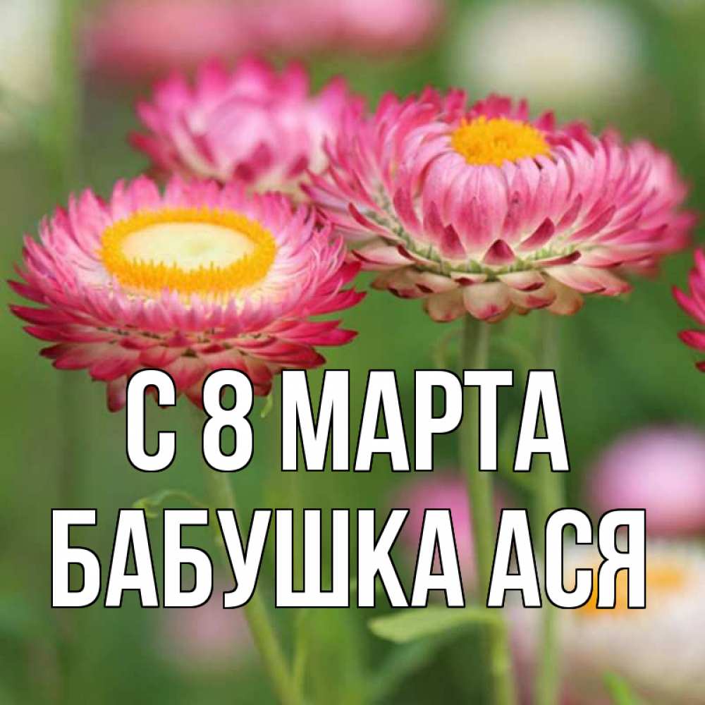 Открытка на каждый день с именем, Бабушка-Ася С 8 МАРТА подарок на международный женский день Прикольная открытка с пожеланием онлайн скачать бесплатно 