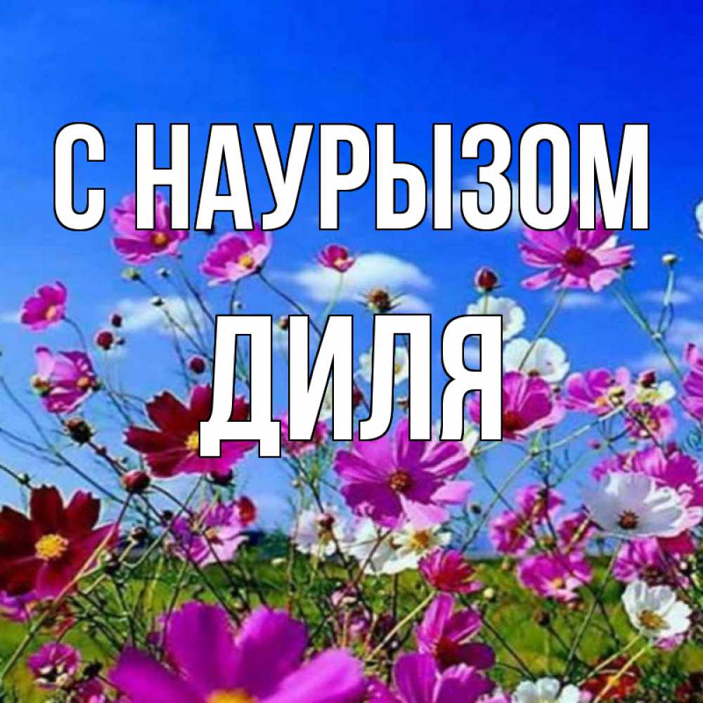 Открытка на каждый день с именем, Диля С наурызом цветы Прикольная открытка с пожеланием онлайн скачать бесплатно 