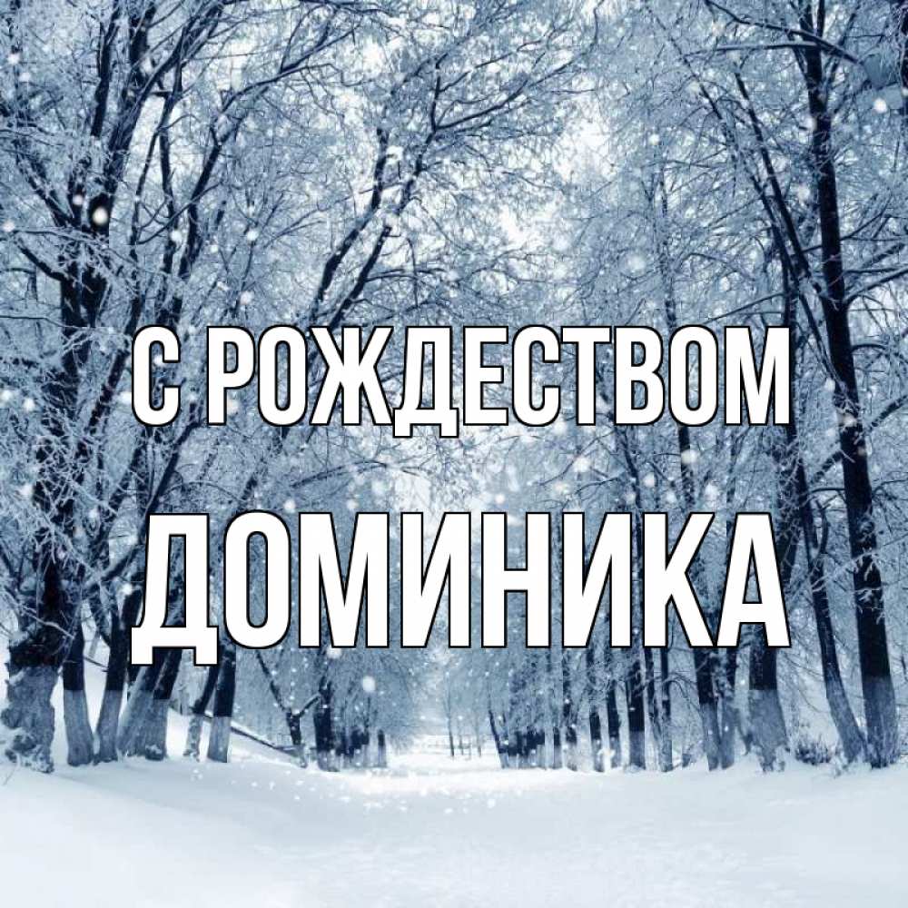 Открытка на каждый день с именем, Доминика С рождеством снег, лес, парк Прикольная открытка с пожеланием онлайн скачать бесплатно 