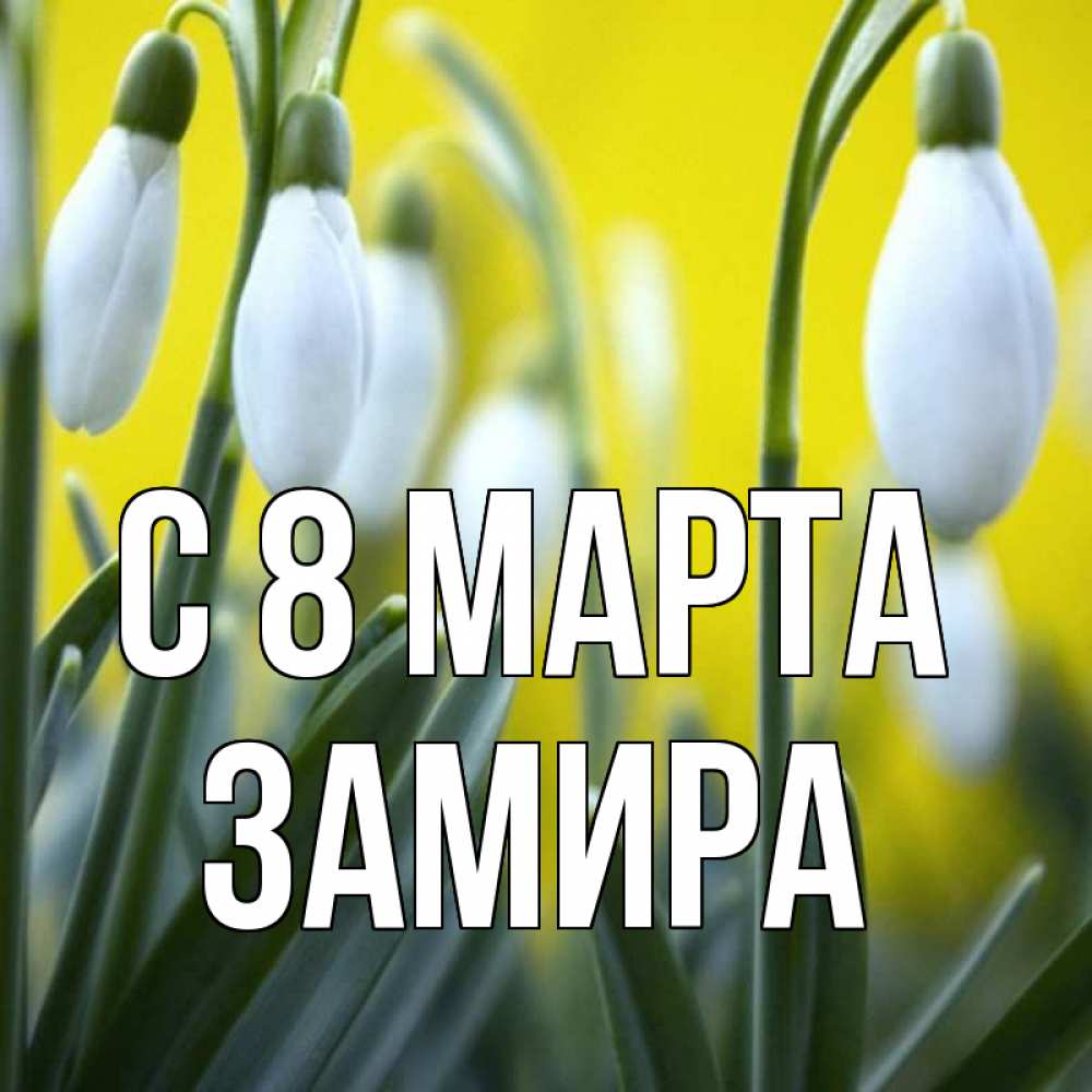 Открытка на каждый день с именем, Замира С 8 МАРТА весенние цветы Прикольная открытка с пожеланием онлайн скачать бесплатно 