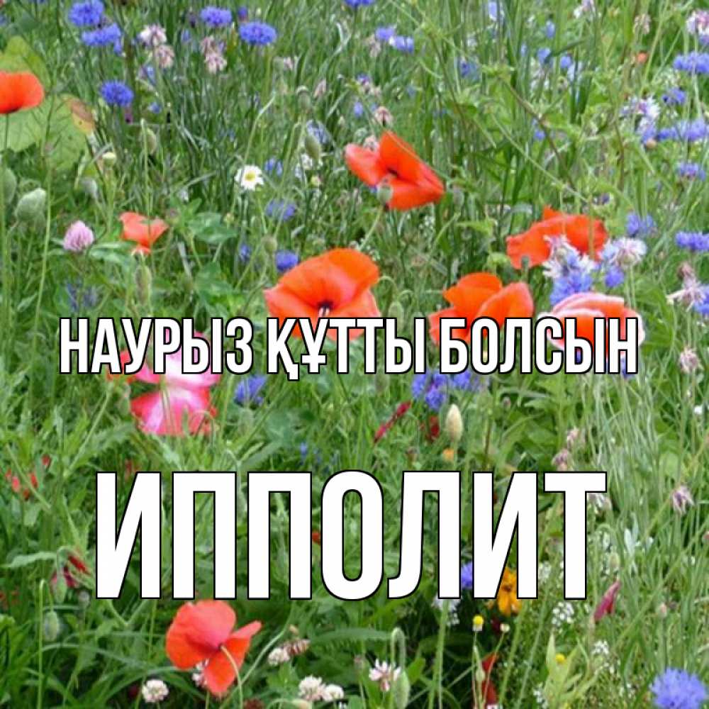 Открытка на каждый день с именем, Ипполит Наурыз құтты болсын наурыз  4 Прикольная открытка с пожеланием онлайн скачать бесплатно 