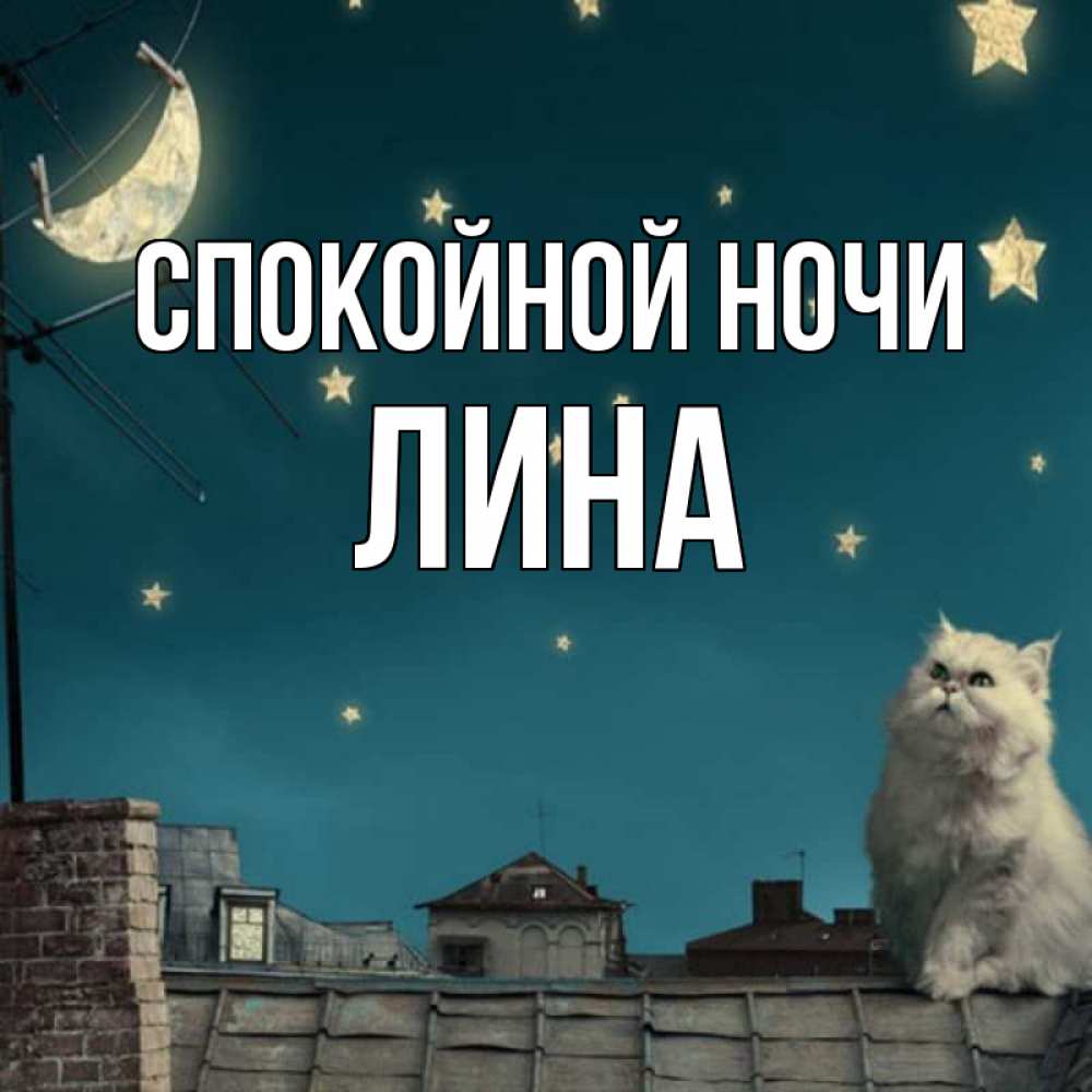 Открытка на каждый день с именем, Лина Спокойной ночи белый кот сидит на крыше Прикольная открытка с пожеланием онлайн скачать бесплатно 