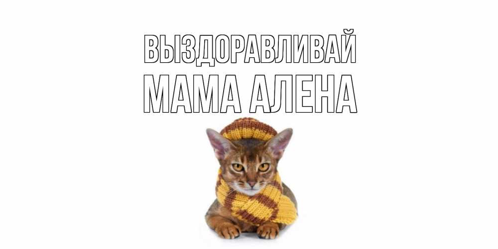 Открытка на каждый день с именем, Мама-Алена Выздоравливай родные не болейте Прикольная открытка с пожеланием онлайн скачать бесплатно 