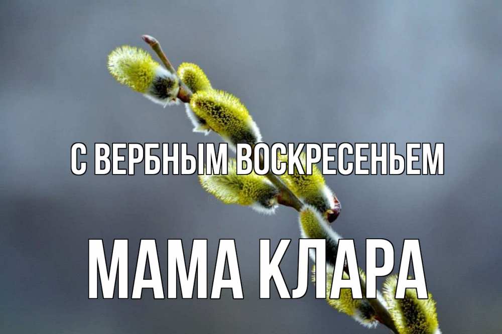 Открытка на каждый день с именем, Мама-Клара С вербным воскресеньем верба Прикольная открытка с пожеланием онлайн скачать бесплатно 