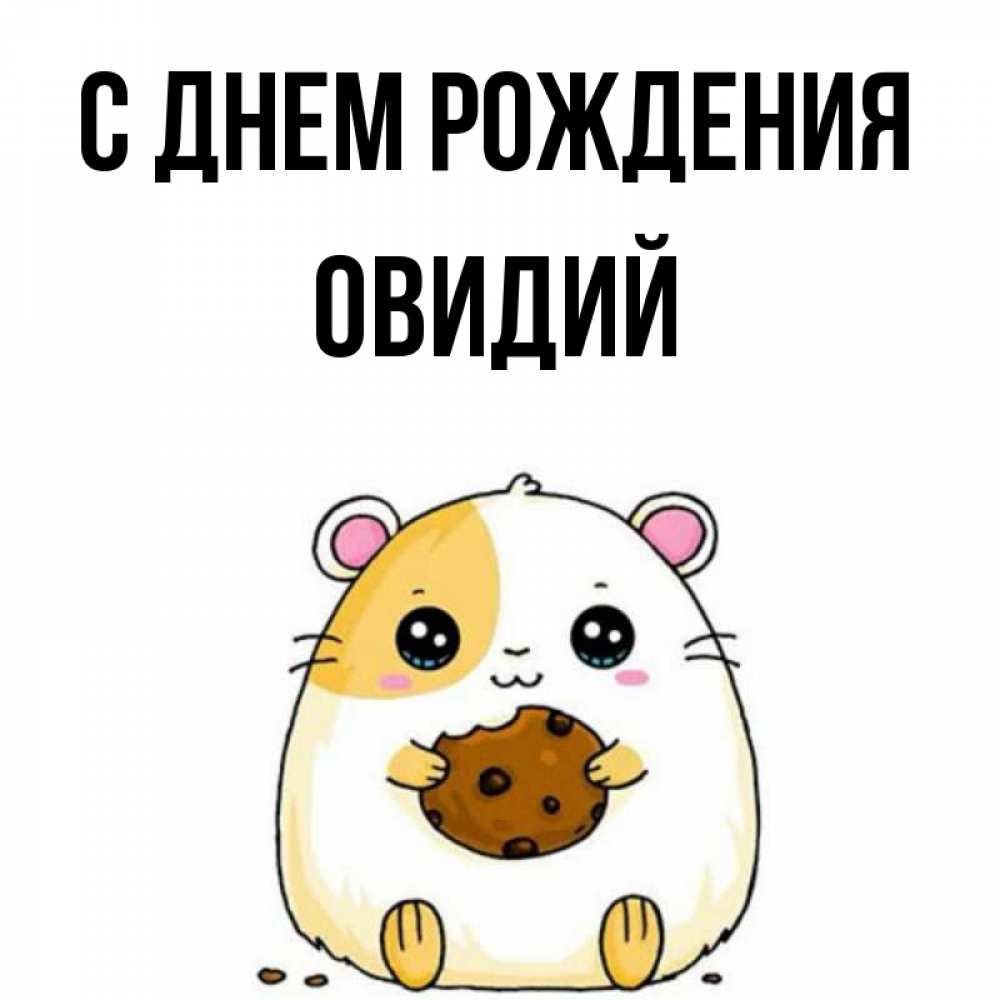 Открытка на каждый день с именем, Овидий С днем рождения с днюхой Прикольная открытка с пожеланием онлайн скачать бесплатно 