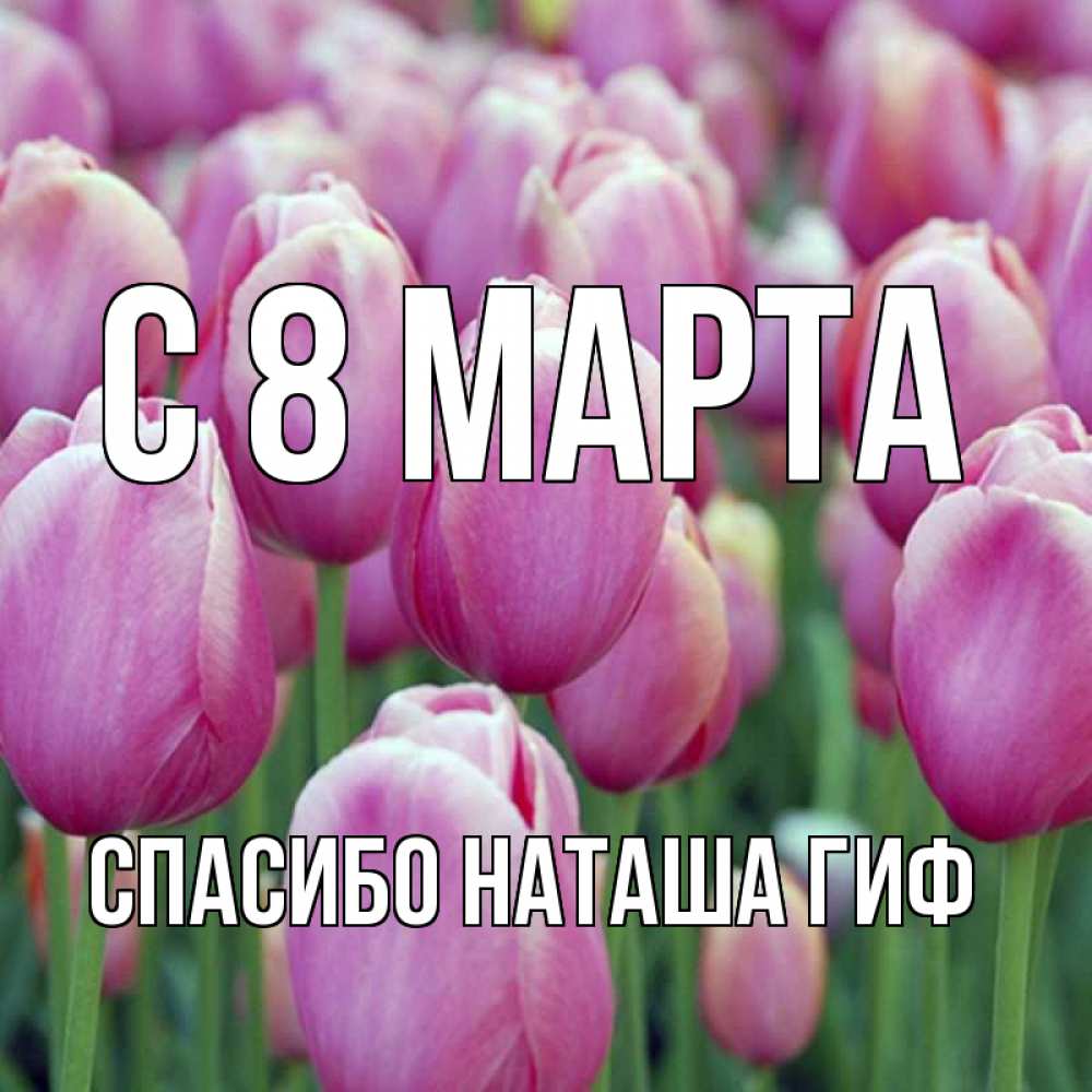 Открытка на каждый день с именем, СПАСИБО-НАТАША-ГИФ С 8 МАРТА на международный женский день 3 Прикольная открытка с пожеланием онлайн скачать бесплатно 