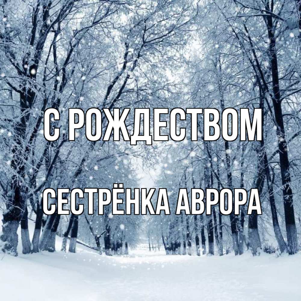 Открытка на каждый день с именем, Сестрёнка-Аврора С рождеством снег, лес, парк Прикольная открытка с пожеланием онлайн скачать бесплатно 