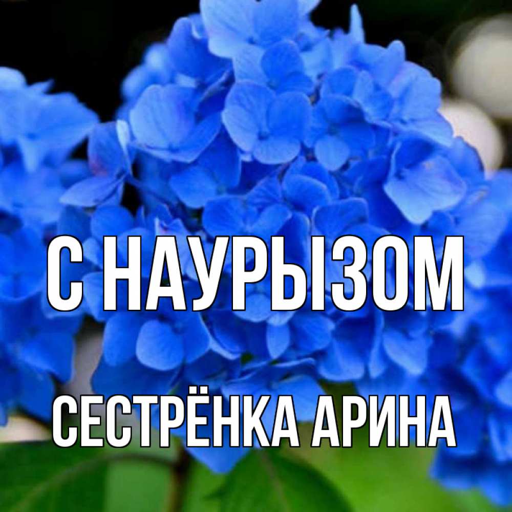 Открытка на каждый день с именем, Сестрёнка-Арина С наурызом синие цветы Прикольная открытка с пожеланием онлайн скачать бесплатно 