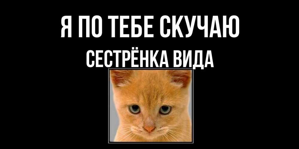 Открытка на каждый день с именем, Сестрёнка-Вида Я по тебе скучаю открытки рыжий котенок скучает по тебе Прикольная открытка с пожеланием онлайн скачать бесплатно 