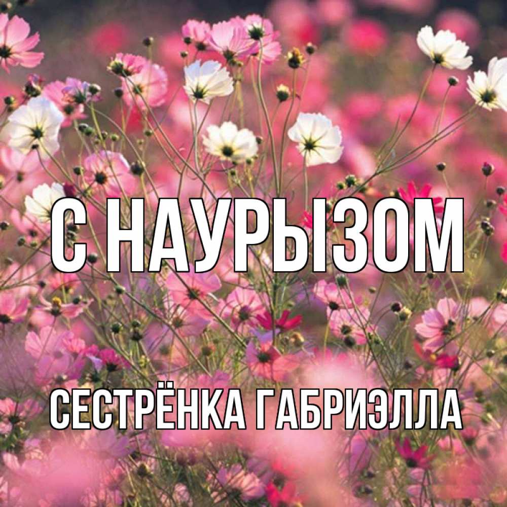 Открытка на каждый день с именем, Сестрёнка-Габриэлла С наурызом красиво 1 Прикольная открытка с пожеланием онлайн скачать бесплатно 