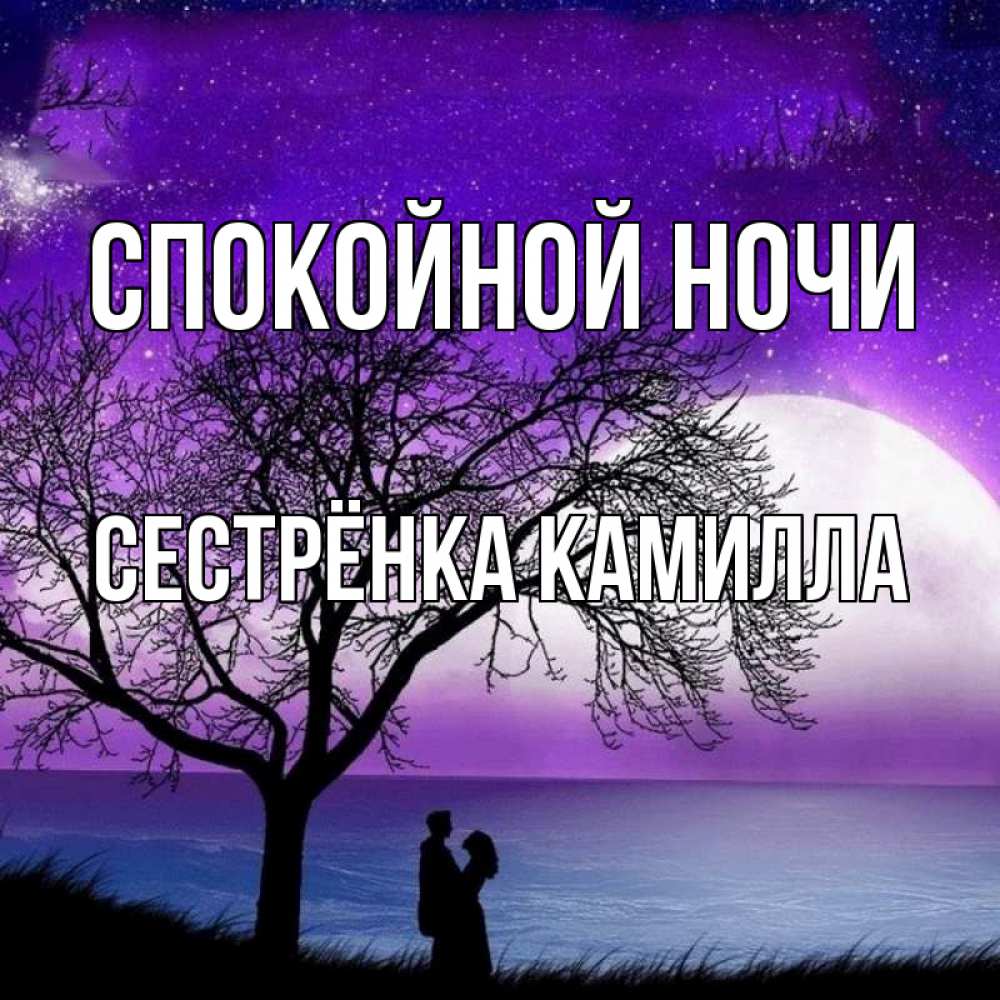 Открытка на каждый день с именем, Сестрёнка-Камилла Спокойной ночи огромная луна и парочка Прикольная открытка с пожеланием онлайн скачать бесплатно 