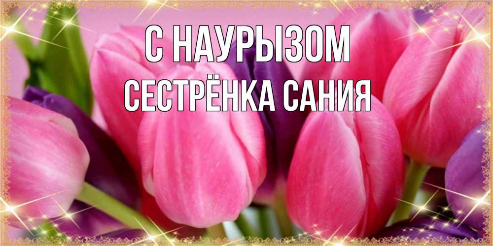 Открытка на каждый день с именем, Сестрёнка-Сания С наурызом тюльпаны для женщины на праздник весны наурыз Прикольная открытка с пожеланием онлайн скачать бесплатно 