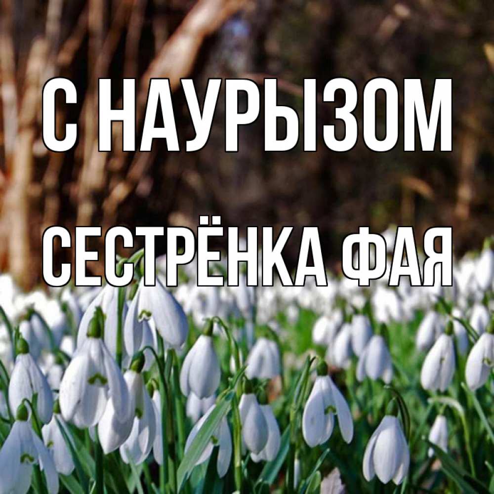 Открытка на каждый день с именем, Сестрёнка-Фая С наурызом с подснежниками 1 Прикольная открытка с пожеланием онлайн скачать бесплатно 