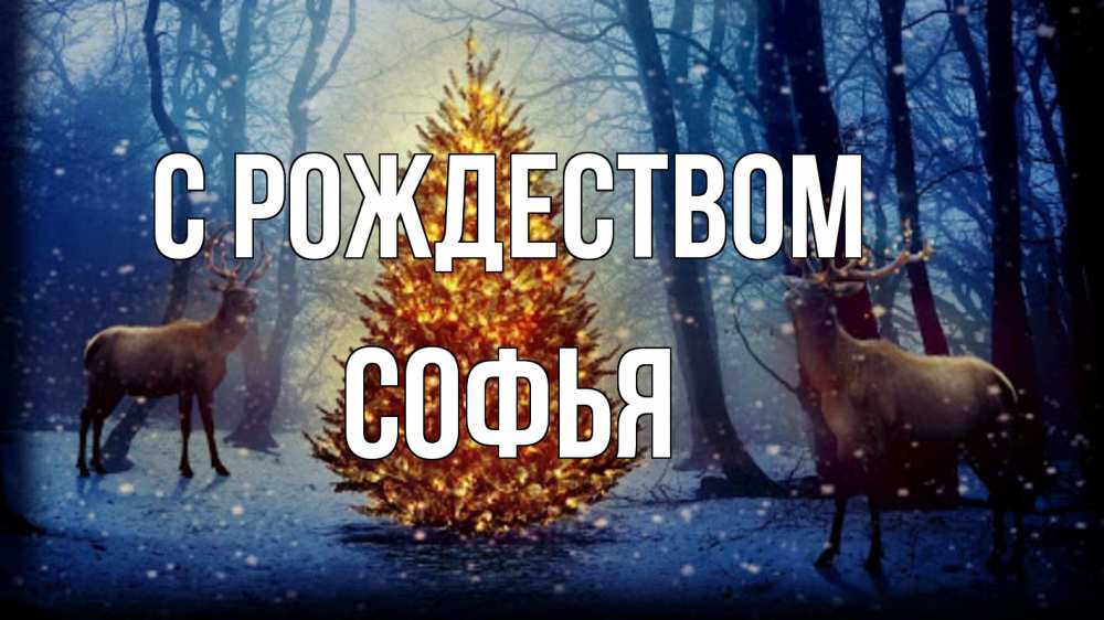 Открытка на каждый день с именем, Софья С рождеством олени, новогодняя елка Прикольная открытка с пожеланием онлайн скачать бесплатно 