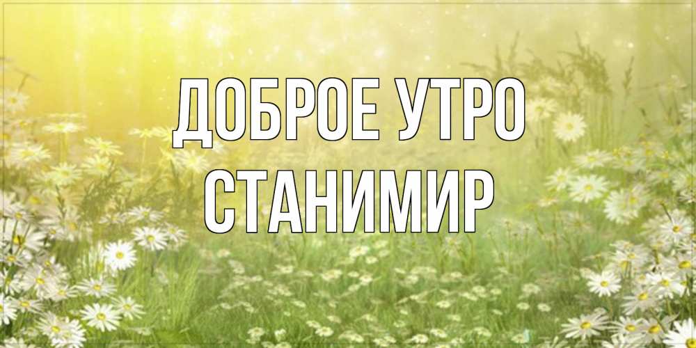 Открытка на каждый день с именем, Станимир Доброе утро доброе утро Прикольная открытка с пожеланием онлайн скачать бесплатно 