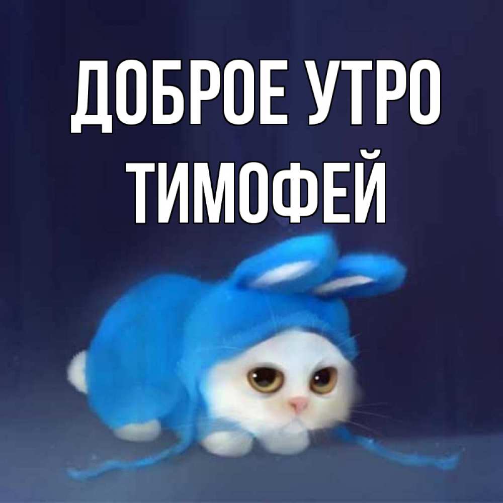 Открытка на каждый день с именем, Тимофей Доброе утро открытки красивые скачать бесплатно Прикольная открытка с пожеланием онлайн скачать бесплатно 