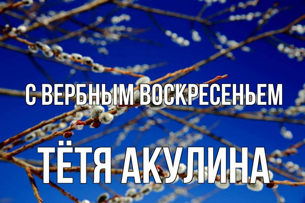 Открытка на каждый день с именем, Тётя-Акулина С вербным воскресеньем верба Прикольная открытка с пожеланием онлайн скачать бесплатно 