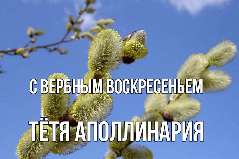 Открытка на каждый день с именем, Тётя-Аполлинария С вербным воскресеньем верба Прикольная открытка с пожеланием онлайн скачать бесплатно 