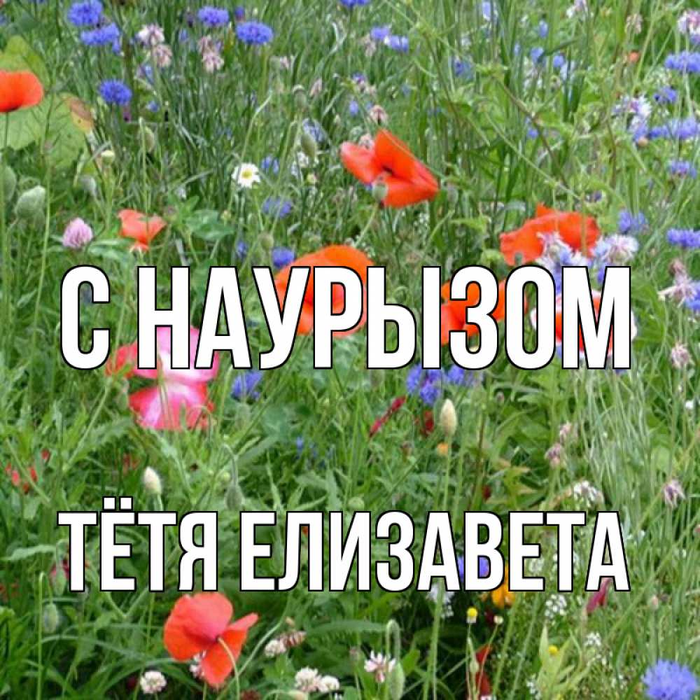 Открытка на каждый день с именем, Тётя-Елизавета С наурызом праздник весны наурыз супер открытка Прикольная открытка с пожеланием онлайн скачать бесплатно 
