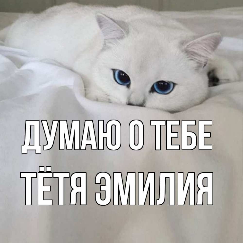 Открытка на каждый день с именем, Тётя-Эмилия Думаю о тебе я очень по тебе скучаю и тоскую Прикольная открытка с пожеланием онлайн скачать бесплатно 