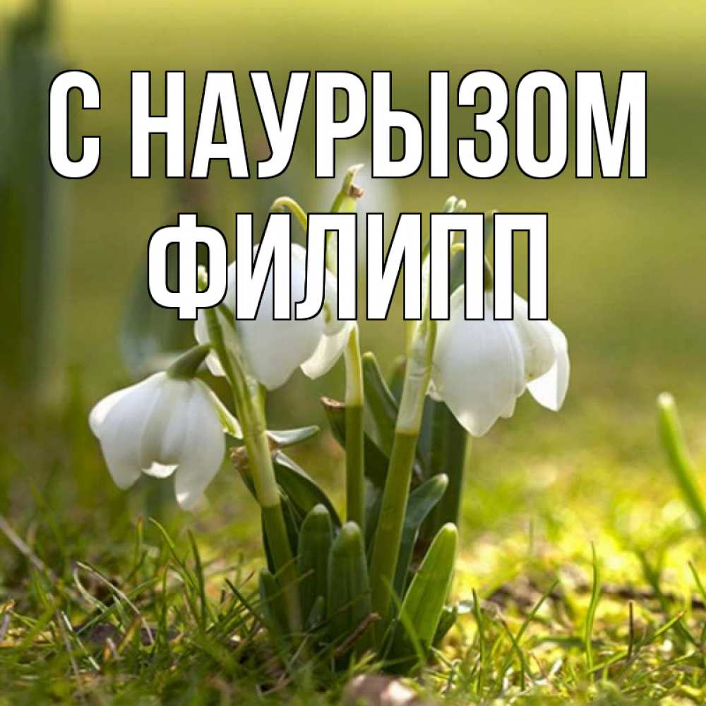 Открытка на каждый день с именем, Филипп С наурызом ранние цветы 2 Прикольная открытка с пожеланием онлайн скачать бесплатно 