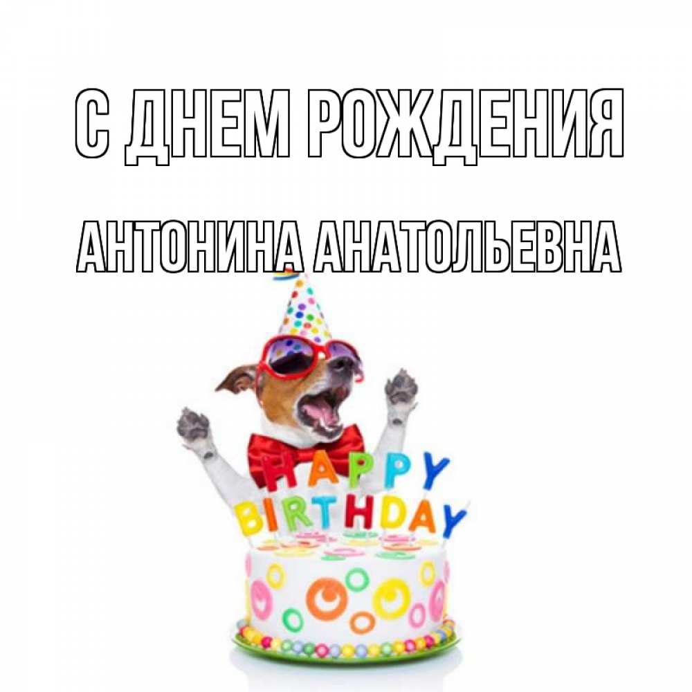 С Днем Рождения Антонина Картинки