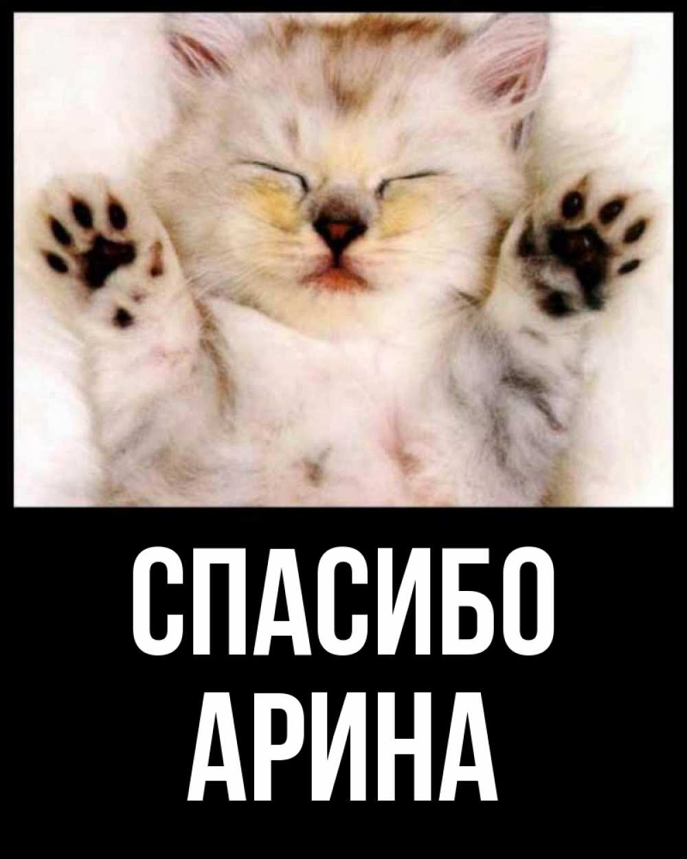 Открытка на каждый день с именем, Арина Спасибо маленький котенок Прикольная открытка с пожеланием онлайн скачать бесплатно 