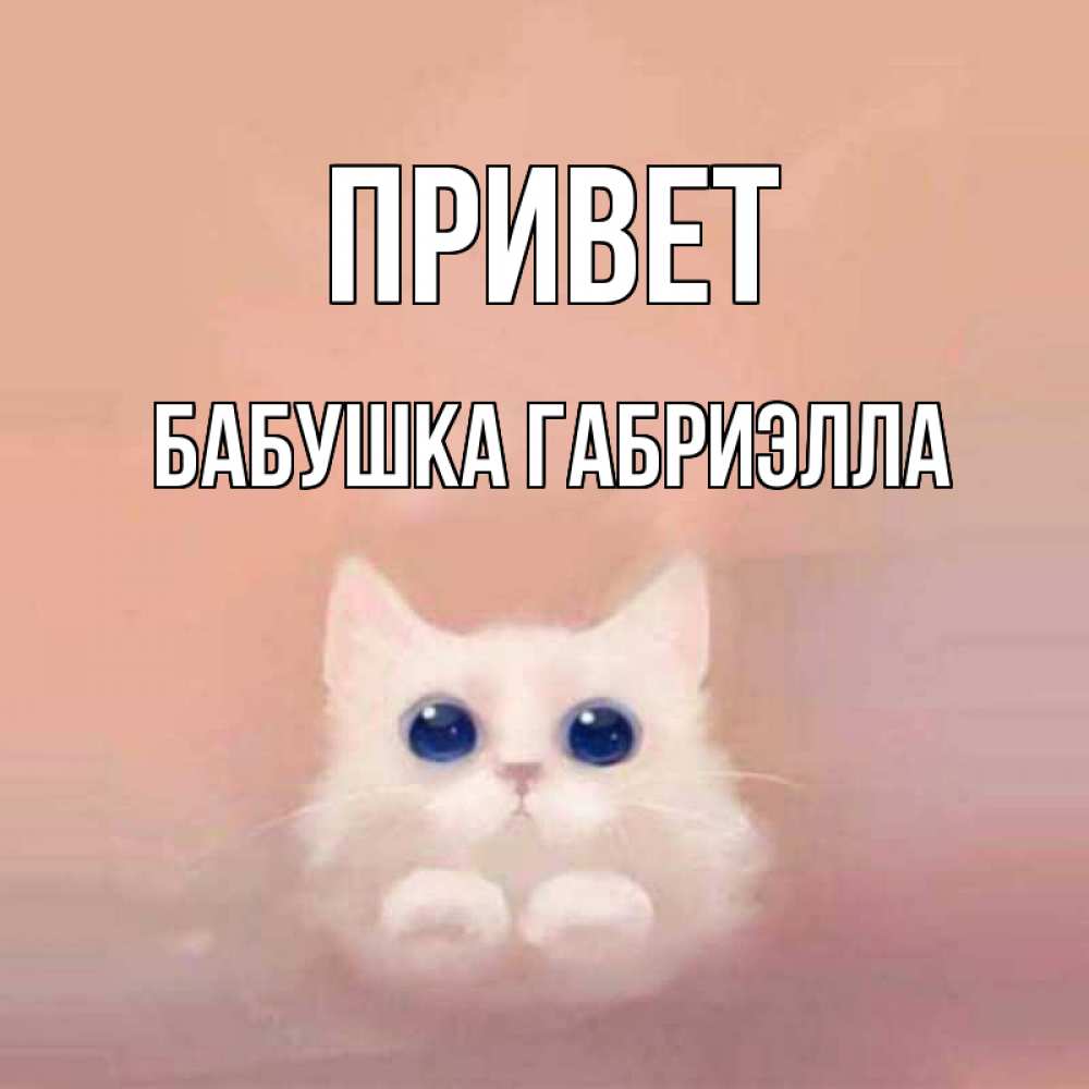 Открытка на каждый день с именем, Бабушка-Габриэлла Привет котик белый в полете Прикольная открытка с пожеланием онлайн скачать бесплатно 