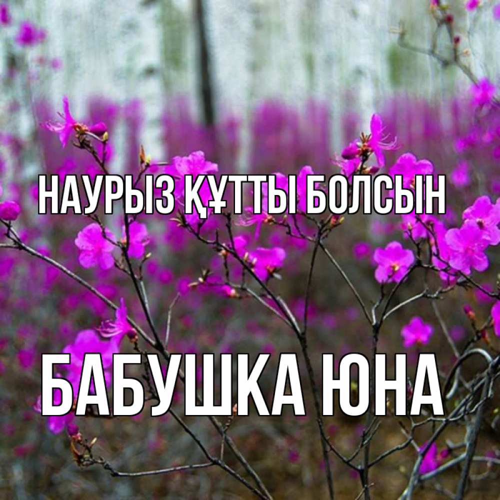 Открытка на каждый день с именем, Бабушка-Юна Наурыз құтты болсын дикие цветы Прикольная открытка с пожеланием онлайн скачать бесплатно 