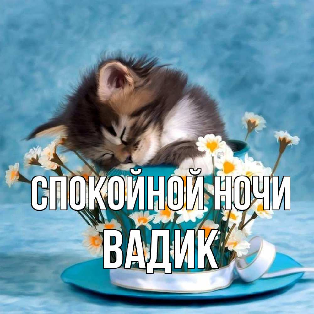 Открытка на каждый день с именем, Вадик Спокойной ночи котенок спит в кружке с блюдцем Прикольная открытка с пожеланием онлайн скачать бесплатно 