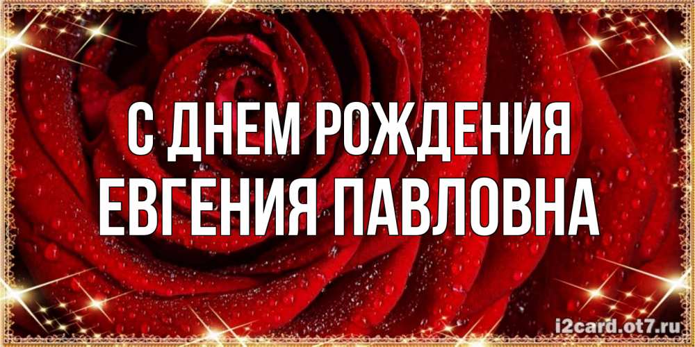 Открытка на каждый день с именем, Евгения-Павловна С днем рождения роса на розе блестящая в лучах солнца Прикольная открытка с пожеланием онлайн скачать бесплатно 