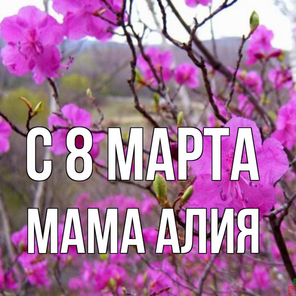 Открытка на каждый день с именем, Мама-Алия С 8 МАРТА международный женский день Прикольная открытка с пожеланием онлайн скачать бесплатно 