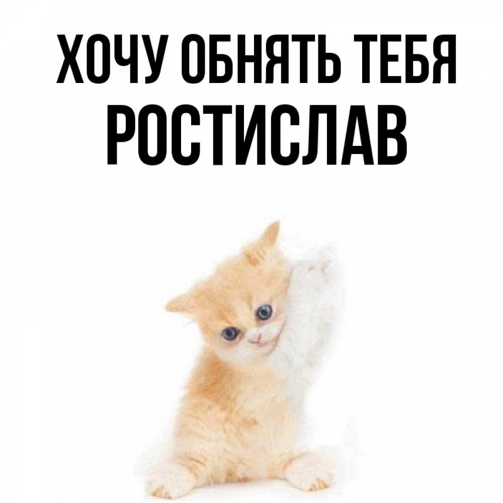 Открытка на каждый день с именем, Ростислав Хочу обнять тебя я хочу очень скорее обнимаешек Прикольная открытка с пожеланием онлайн скачать бесплатно 