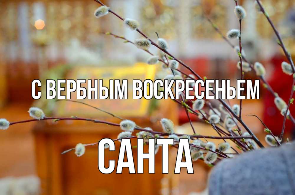 Открытка на каждый день с именем, Санта С вербным воскресеньем верба Прикольная открытка с пожеланием онлайн скачать бесплатно 