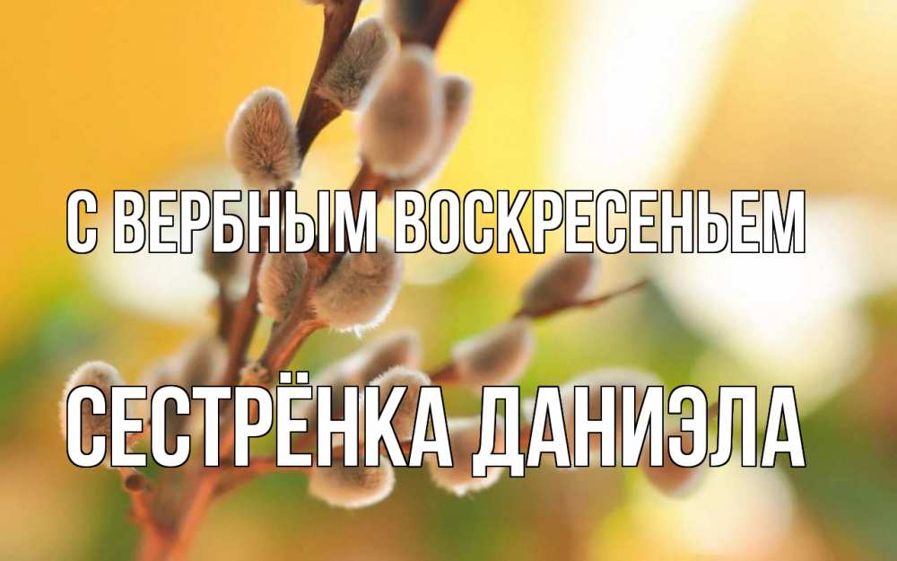Открытка на каждый день с именем, Сестрёнка-Даниэла С вербным воскресеньем верба Прикольная открытка с пожеланием онлайн скачать бесплатно 