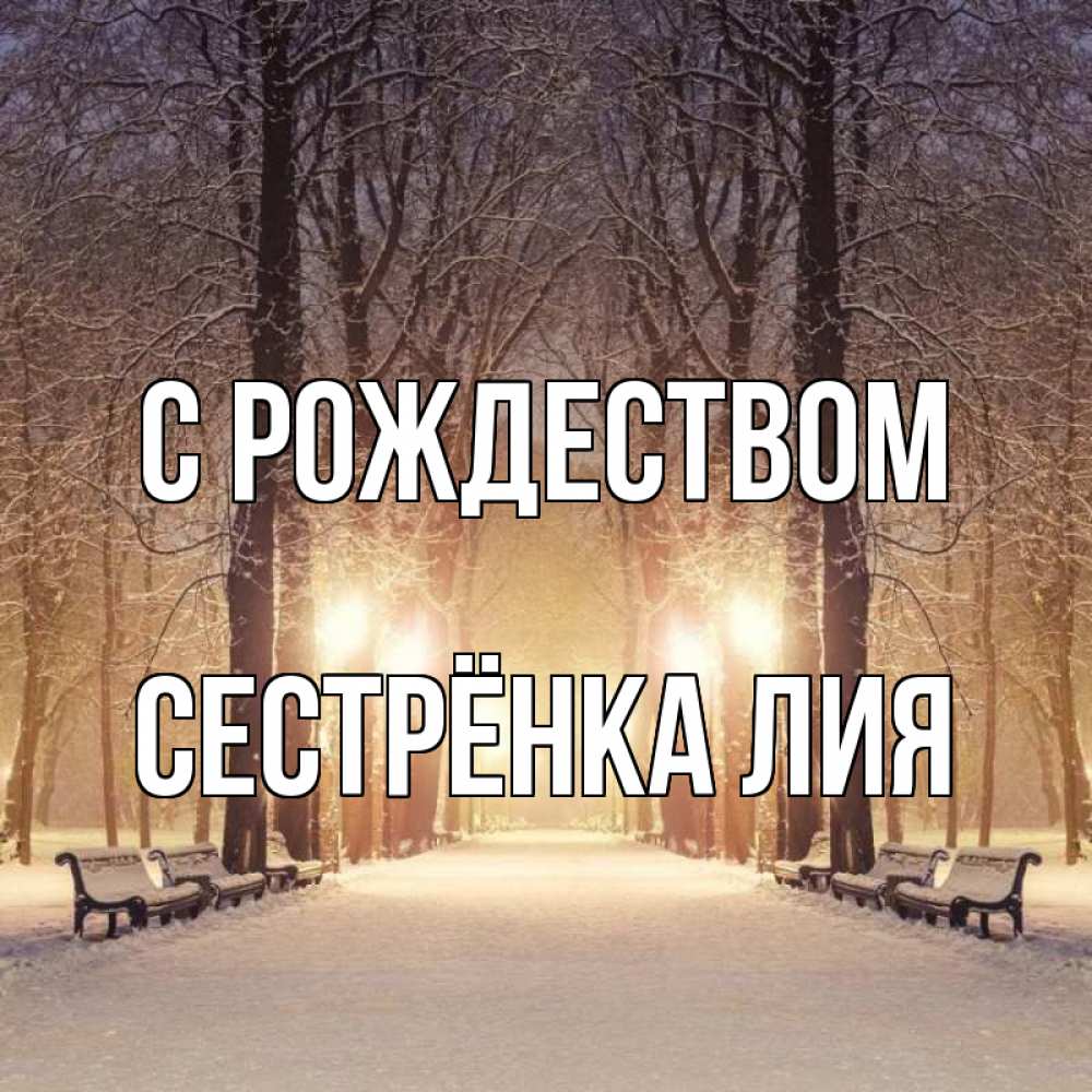 Открытка на каждый день с именем, Сестрёнка-Лия С рождеством зима, парк, фонарь, лес Прикольная открытка с пожеланием онлайн скачать бесплатно 