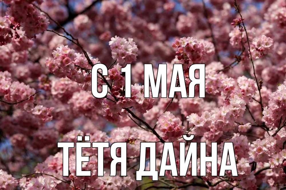 Открытка на каждый день с именем, Тётя-Дайна С 1 мая С 1 мая Прикольная открытка с пожеланием онлайн скачать бесплатно 