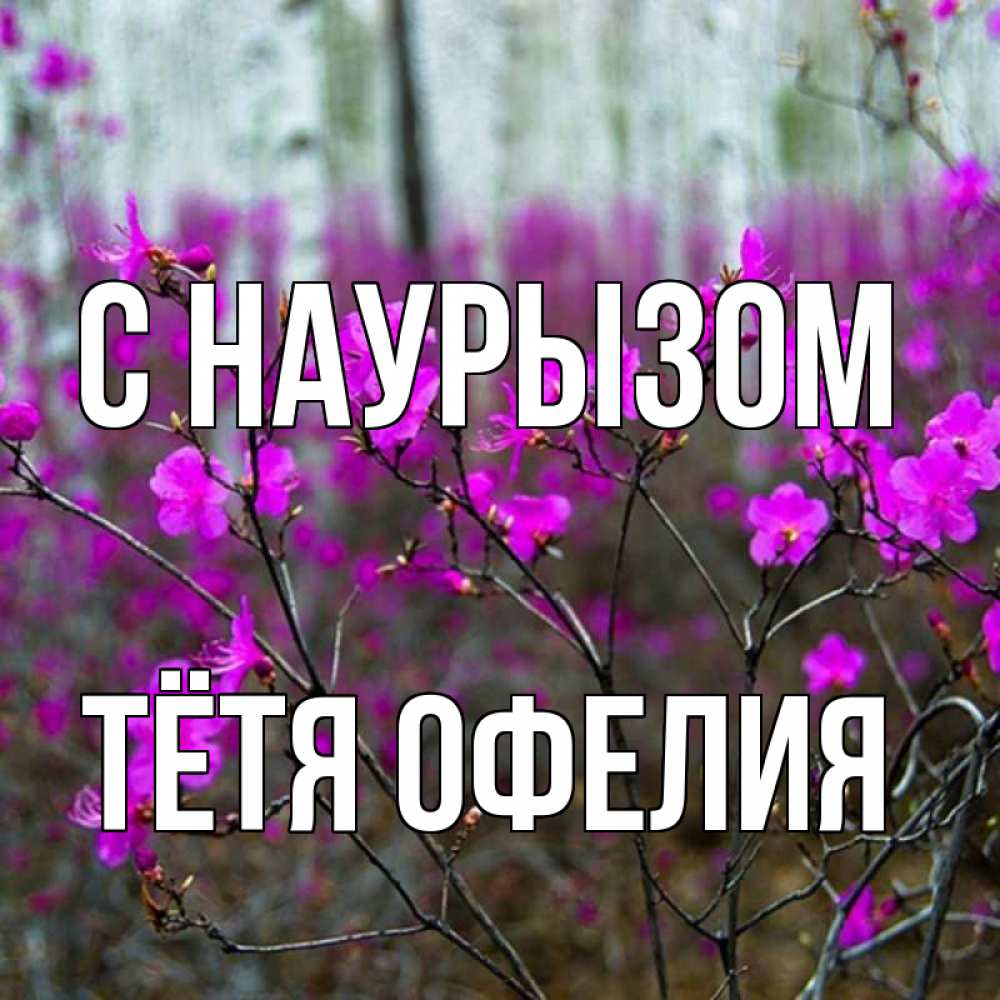 Открытка на каждый день с именем, Тётя-Офелия С наурызом дикие цветы Прикольная открытка с пожеланием онлайн скачать бесплатно 